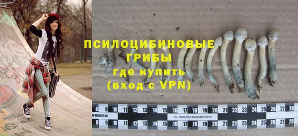 дмт Арсеньев