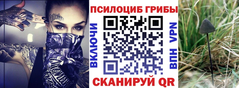 Псилоцибиновые грибы GOLDEN TEACHER Сухиничи